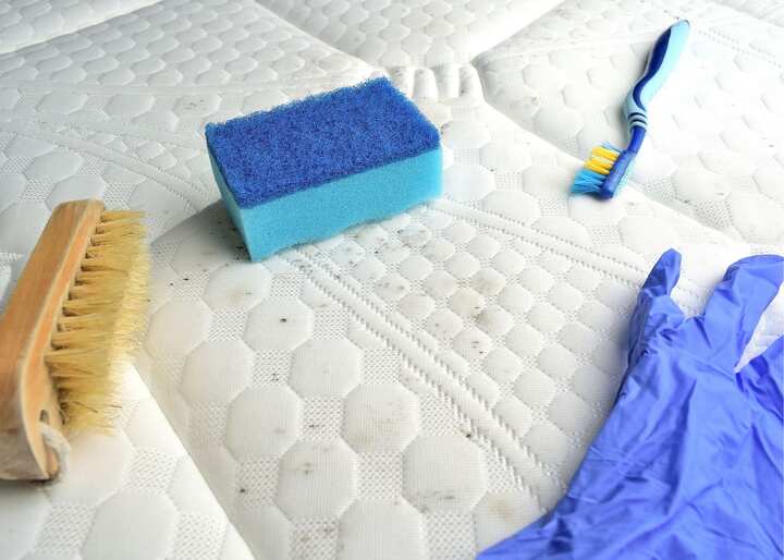 mold remediation jacksonville fl