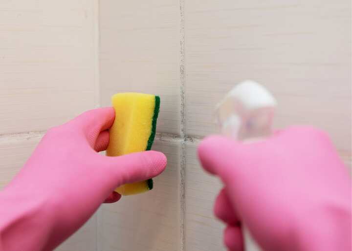 mold remediation jacksonville fl