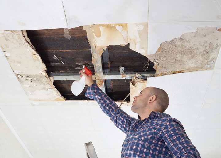 mold remediation jacksonville fl