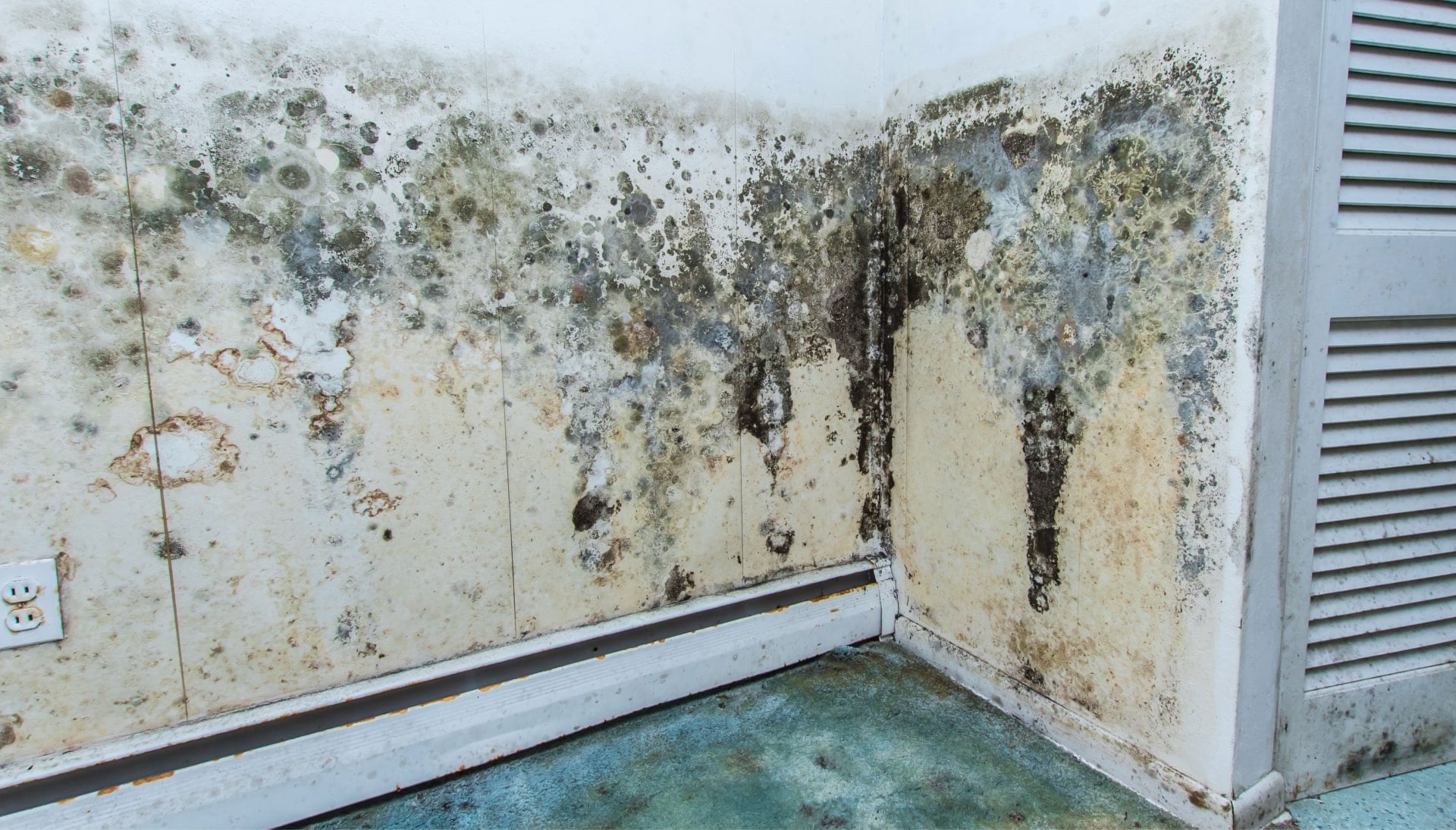 Professional mold removal, odor control, and water damage restoration service in Jacksonville, Florida.