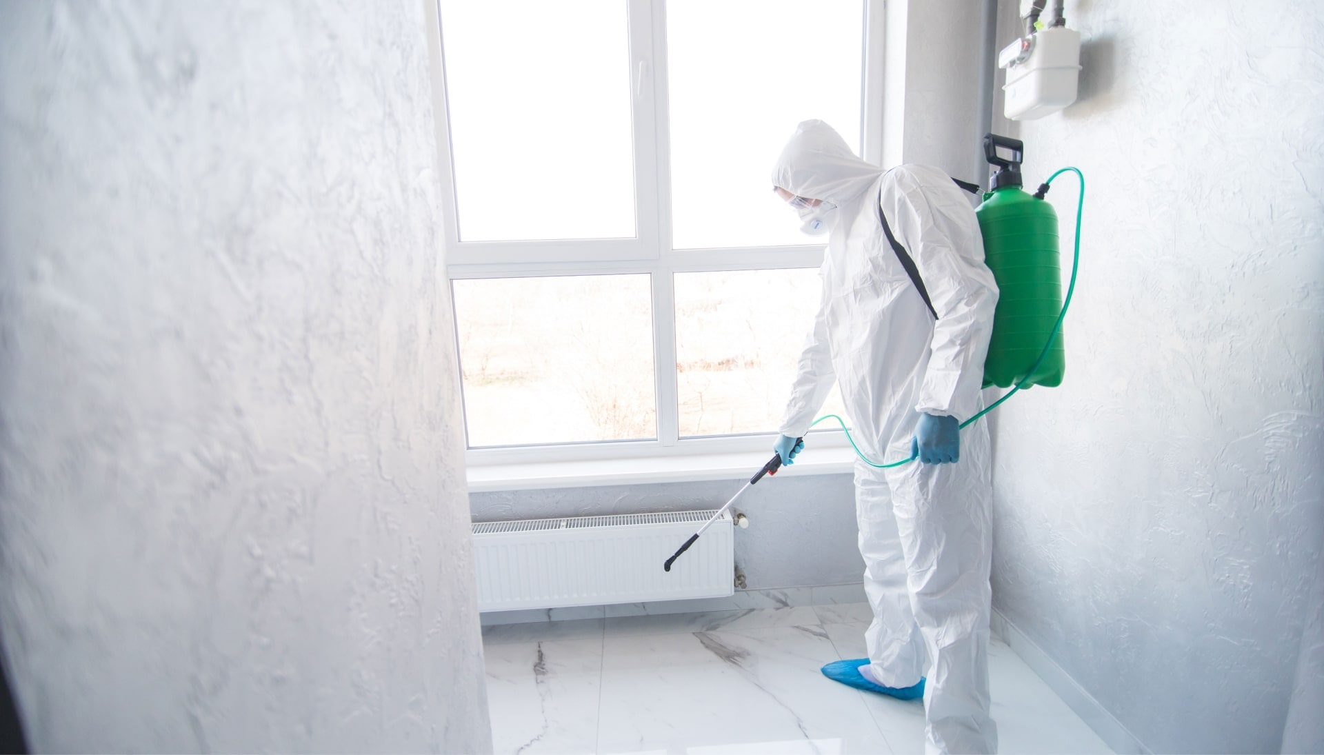 We provide the highest-quality mold inspection, testing, and removal services in the Jacksonville, Florida area.